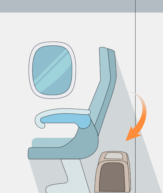 Hi Dream - Pet Boarding Travel Carrier Tote Bag